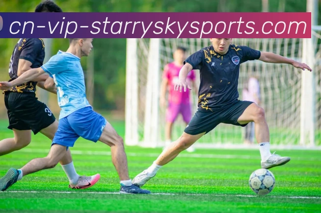 星空体育发展历程