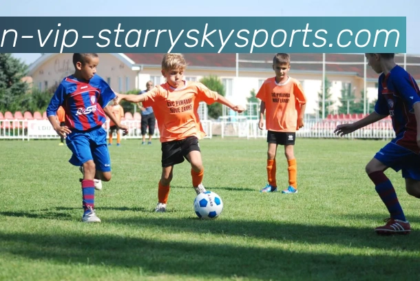 火箭队现在的球员阵容主要由哪些年轻球员构成